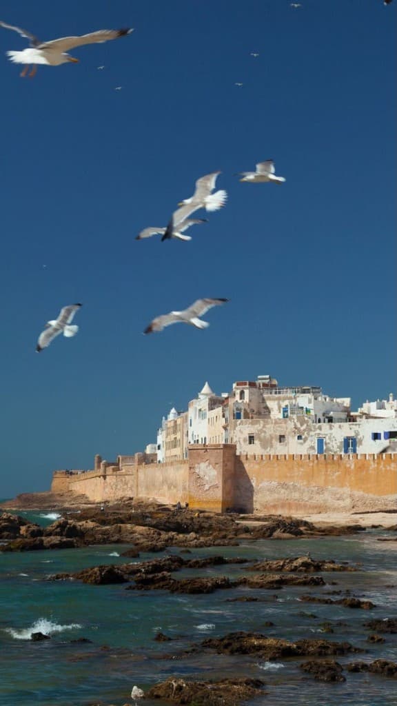 Essaouira Day Trip gallery photo 2